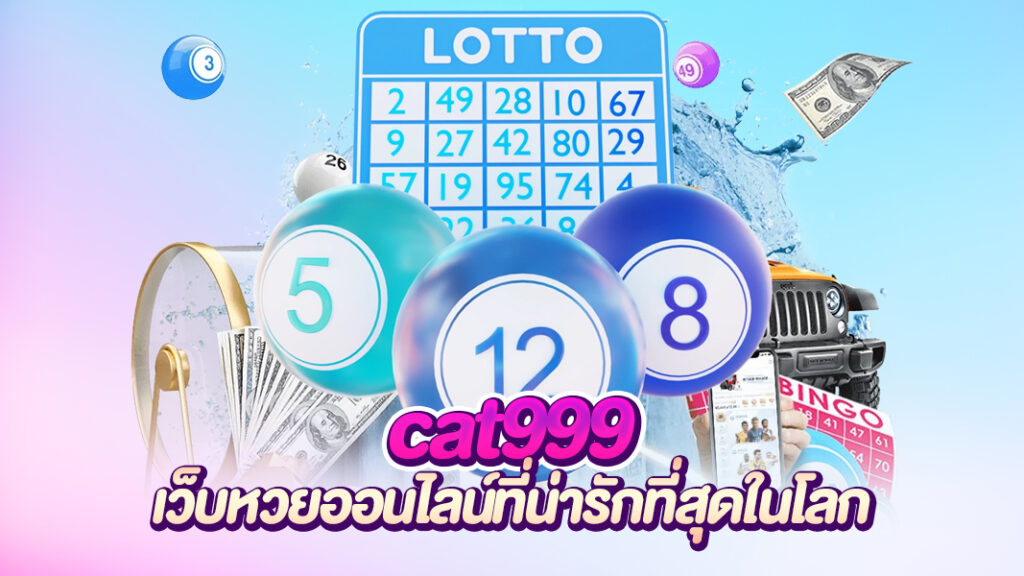 cat999