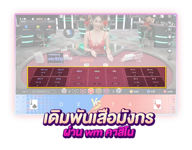 ไพ่ เสือมังกร wm casino
